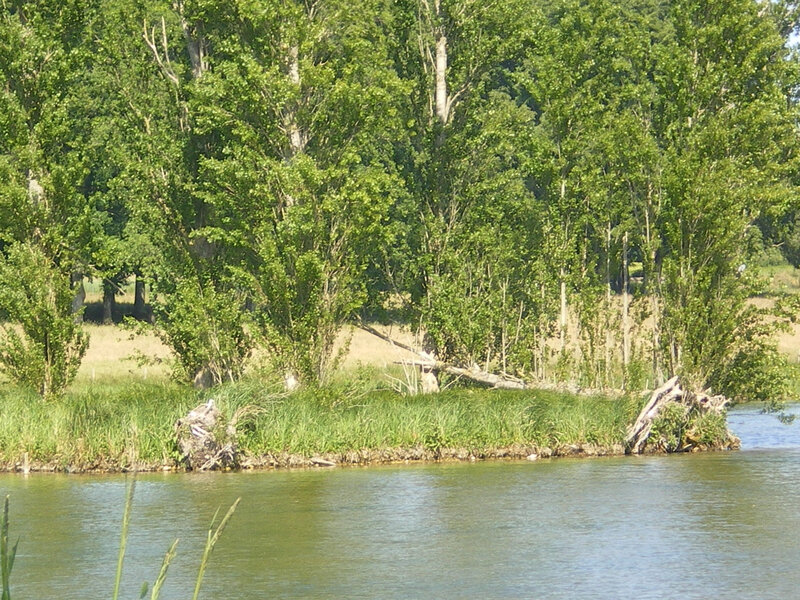 IMGP0420