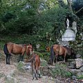 Ainhoa, chemin de croix et chevaux (64)