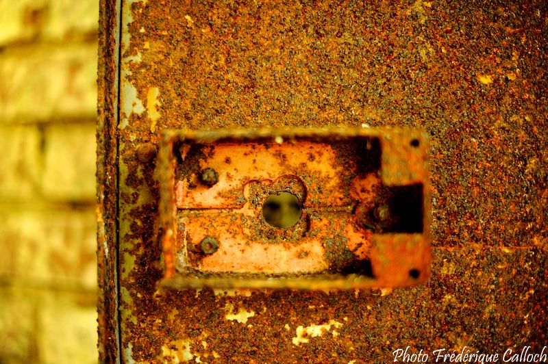 Chez_Coline_le_10_oct_2010_080_copie