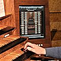 IMG_1231