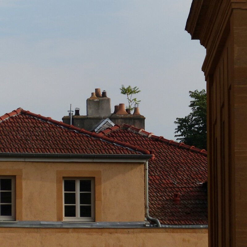 aaa metz-002
