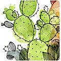 Arizona