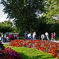 _IGP7173
