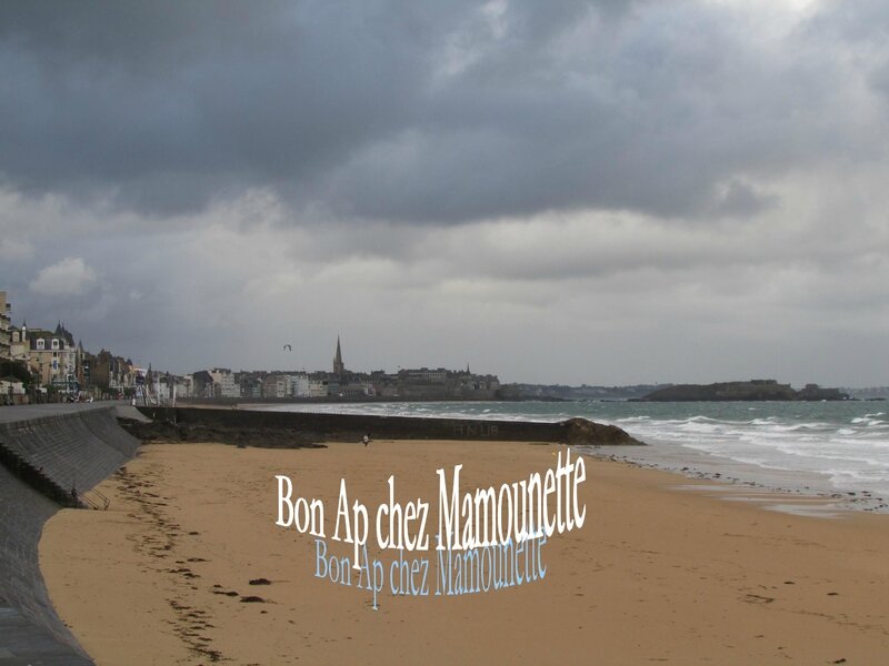 Saint Malo nov 2013-2 005