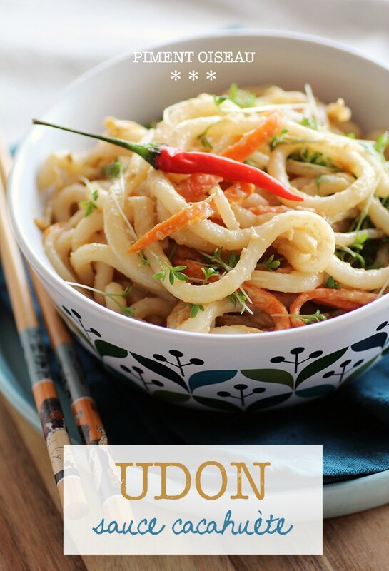 udon sauce cacahuète - udon noodles in peanut sauce