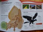 L'encyclopédie des dinosaures (1)