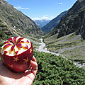 Pomme à la montagne