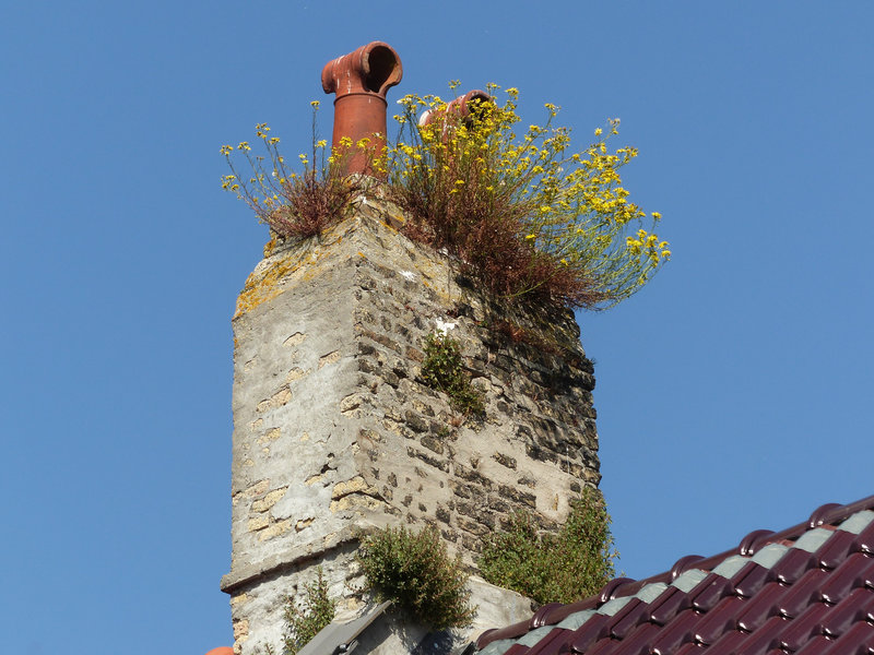 P1690264