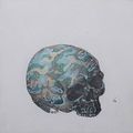 Ji Dachun, camouflage skull, 2008, acrylic on canvas, h: 30 x w: 30 cm / h: 11.8 x w: 11.8 in. Aye Gallery. Art Hongkong 2009 May 14 - May 17, 2009