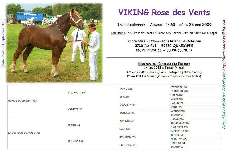 Fiche VIKING ROSE DES VENTS 2014