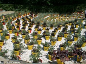 6416_Mille_un_Paysages
