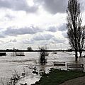 IMG_0223