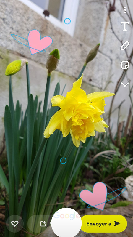 Screenshot_20230222-162148_Google