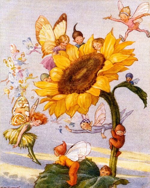 Margaret Tarrant sunflower-fairies