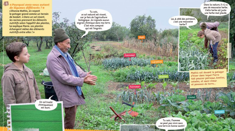 Dernier Et Ultime Cri De Colere De Pierre Rabhi Ecologie Vraie Et Reelle