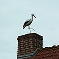 IMGP4759