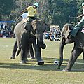 match de foot à Chitwan