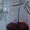 Sauce aux canneberges pour accompagner la dinde, sans gluten et sans lactose