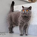 _DSC0724