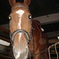 2006,09 le 26