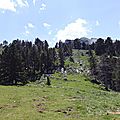 DSC03660