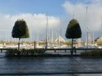 7 novembre nexwport (33)