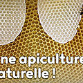 Pour une apiculture naturelle, un film-documentaire consacré au bienvivre avec les abeilles