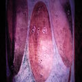 image pour so 026