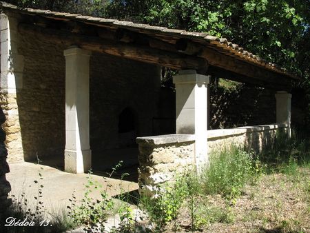Photo_23100