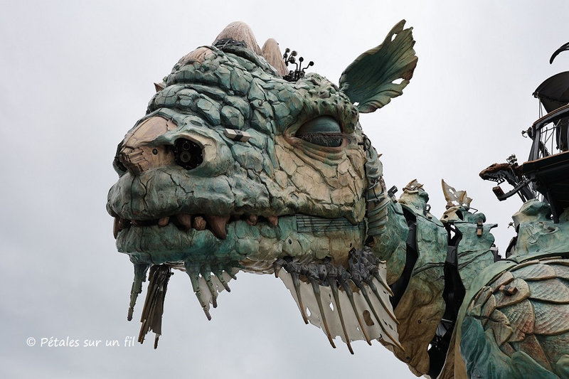 dragon