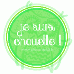 Bouton Chouette Kit - Je suis chouette - JSC-vert