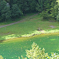 P1110050