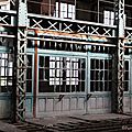 IMG_7493