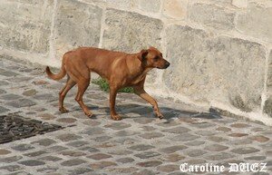 2_juin_2007_025_copie