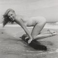 Eté 1949 tobey beach - marilyn par andré de dienes