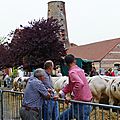 IMGP7132