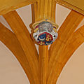 IMG_9165
