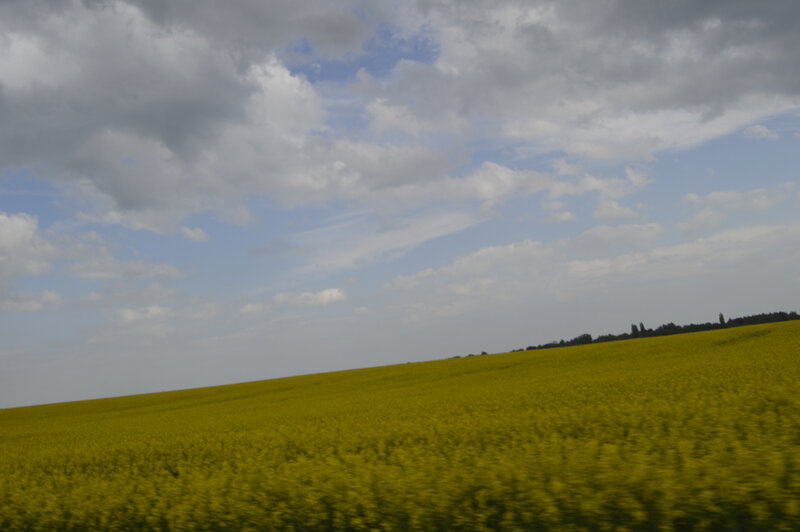 _DSC0053