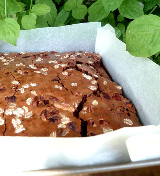 Brownie 3