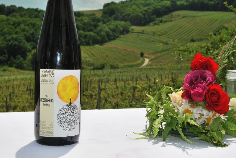 Le domaine Ostertag fête ses 50 ans