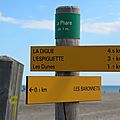 Aigues-Mortes
