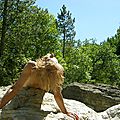 rochers