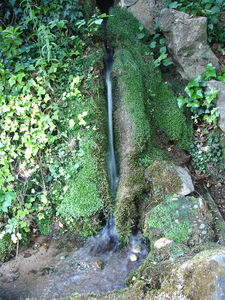 2009_104__3_