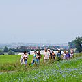 IMGP6610