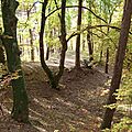 Forêt côteaux fort Belin Salins-les-Bains Jura (2)