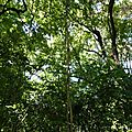 P1060190