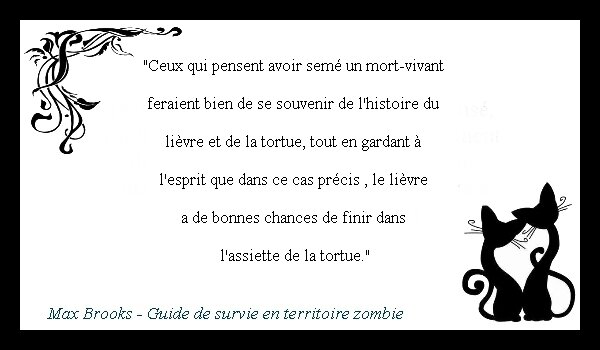 La Citation Du Mercredi Page 4 Catdreams