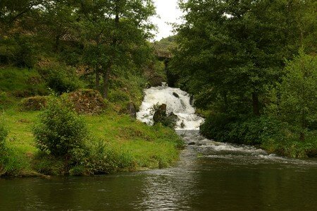 IMGP6987