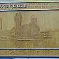IMGP5921