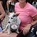 IMG_4049